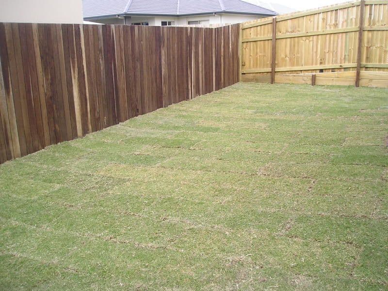 Lot 417 Tuckeroo Drive, MERIDAN PLAINS QLD 4551, Meridan Plains - Thumbnail 5