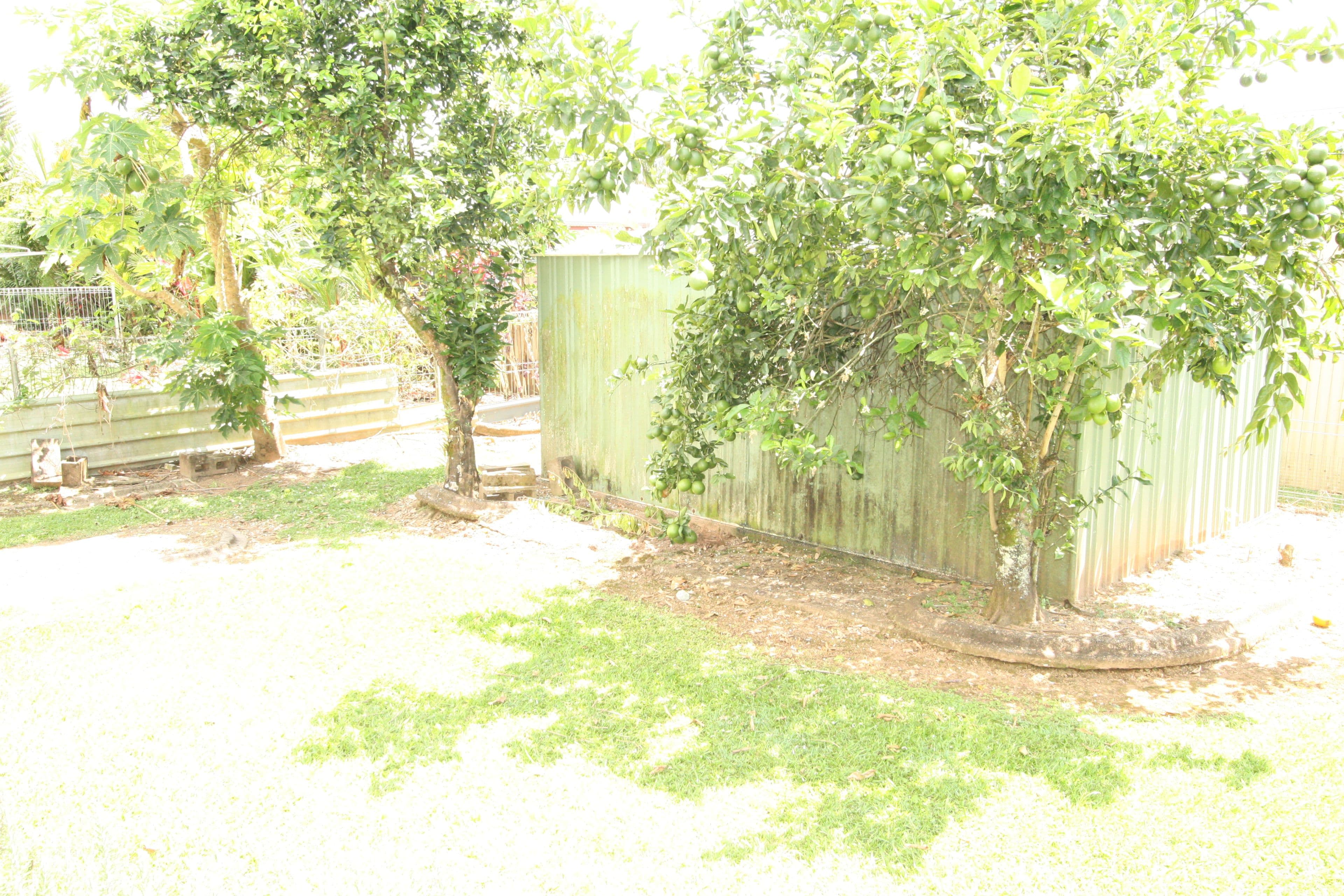 1 Tolga Close, Innisfail QLD 4860, Innisfail Estate - Thumbnail 6