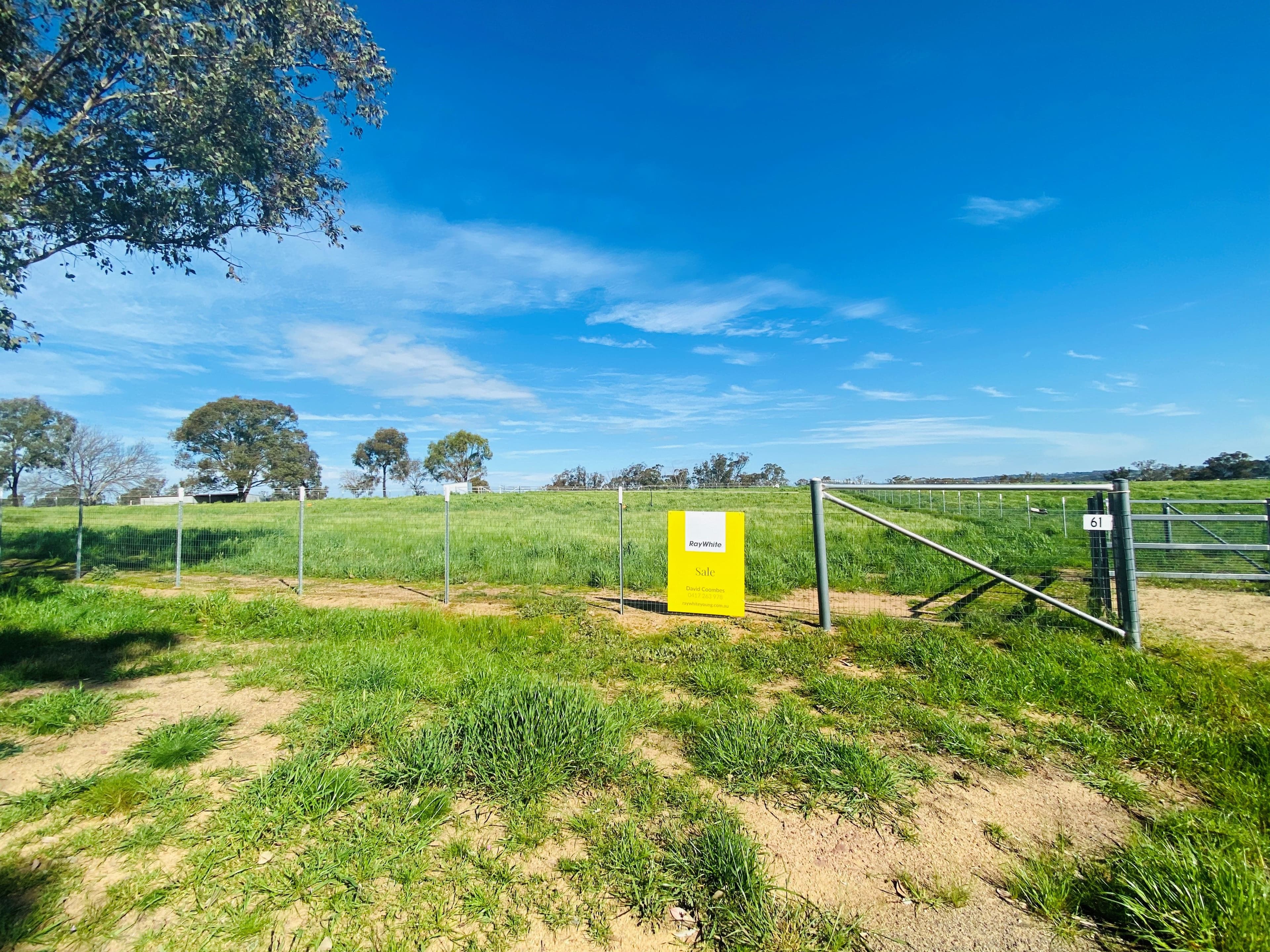61 Redhill Road, Young NSW 2594, Young - Image 1