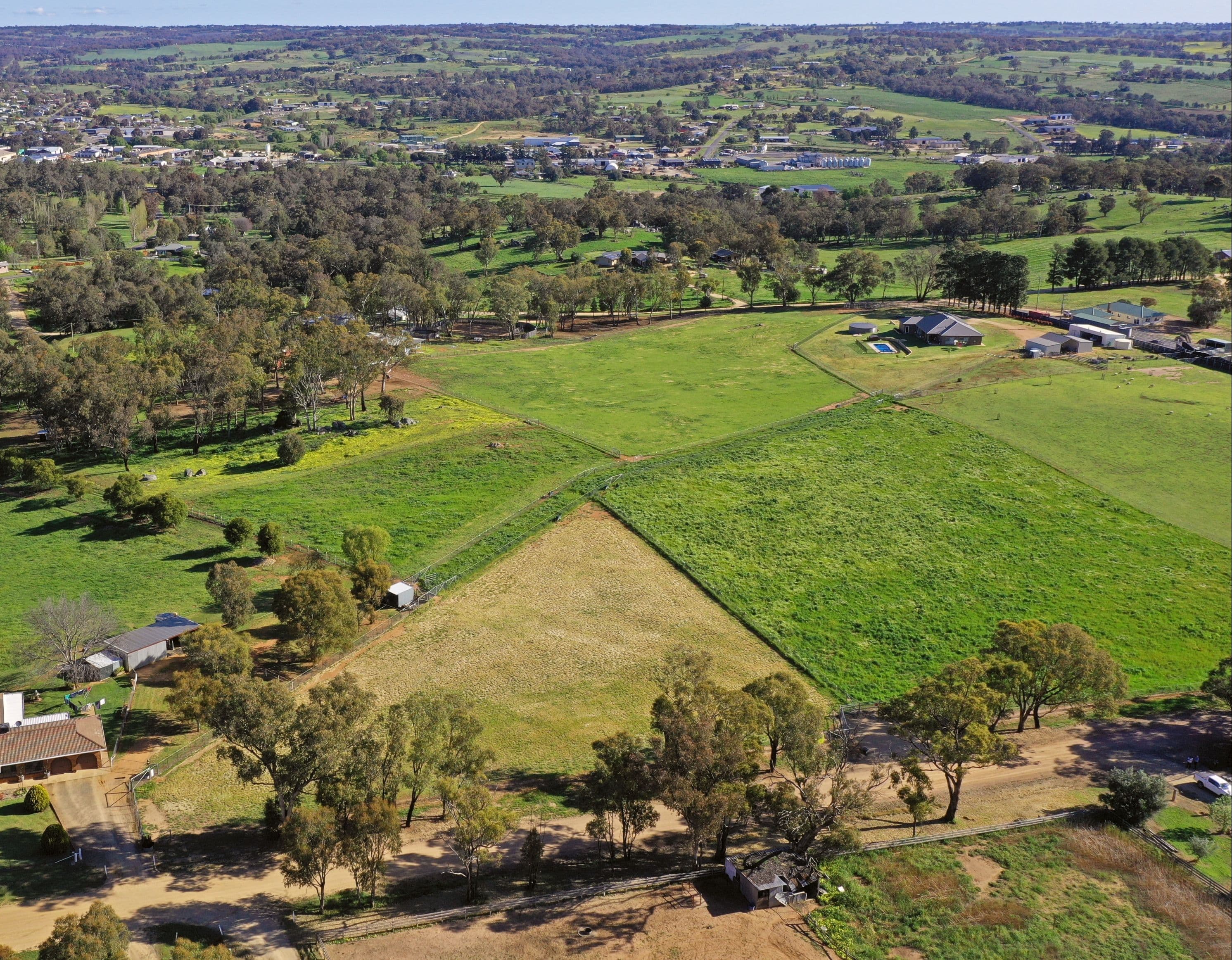61 Redhill Road, Young NSW 2594, Young - Thumbnail 4
