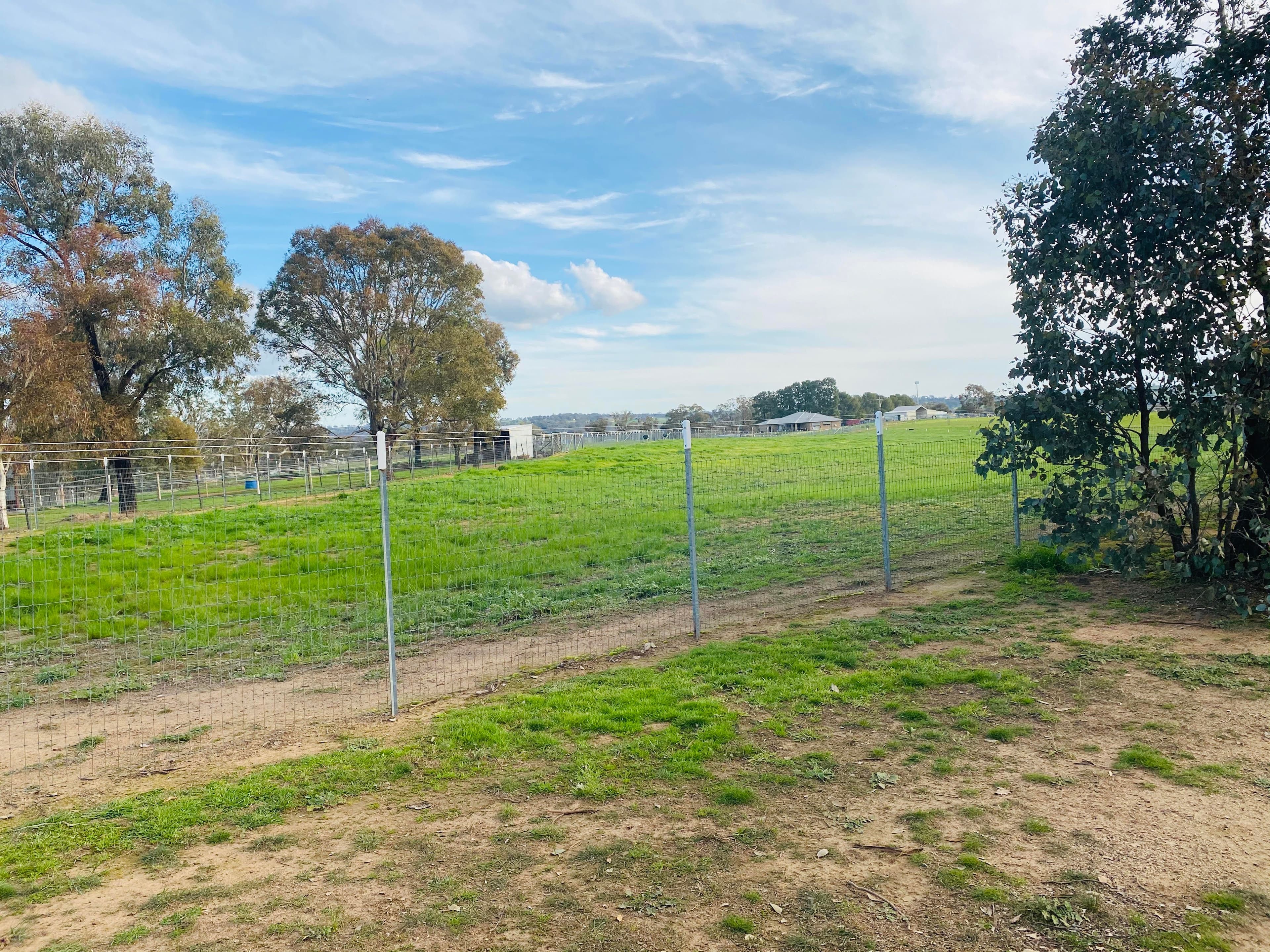 61 Redhill Road, Young NSW 2594, Young - Thumbnail 8