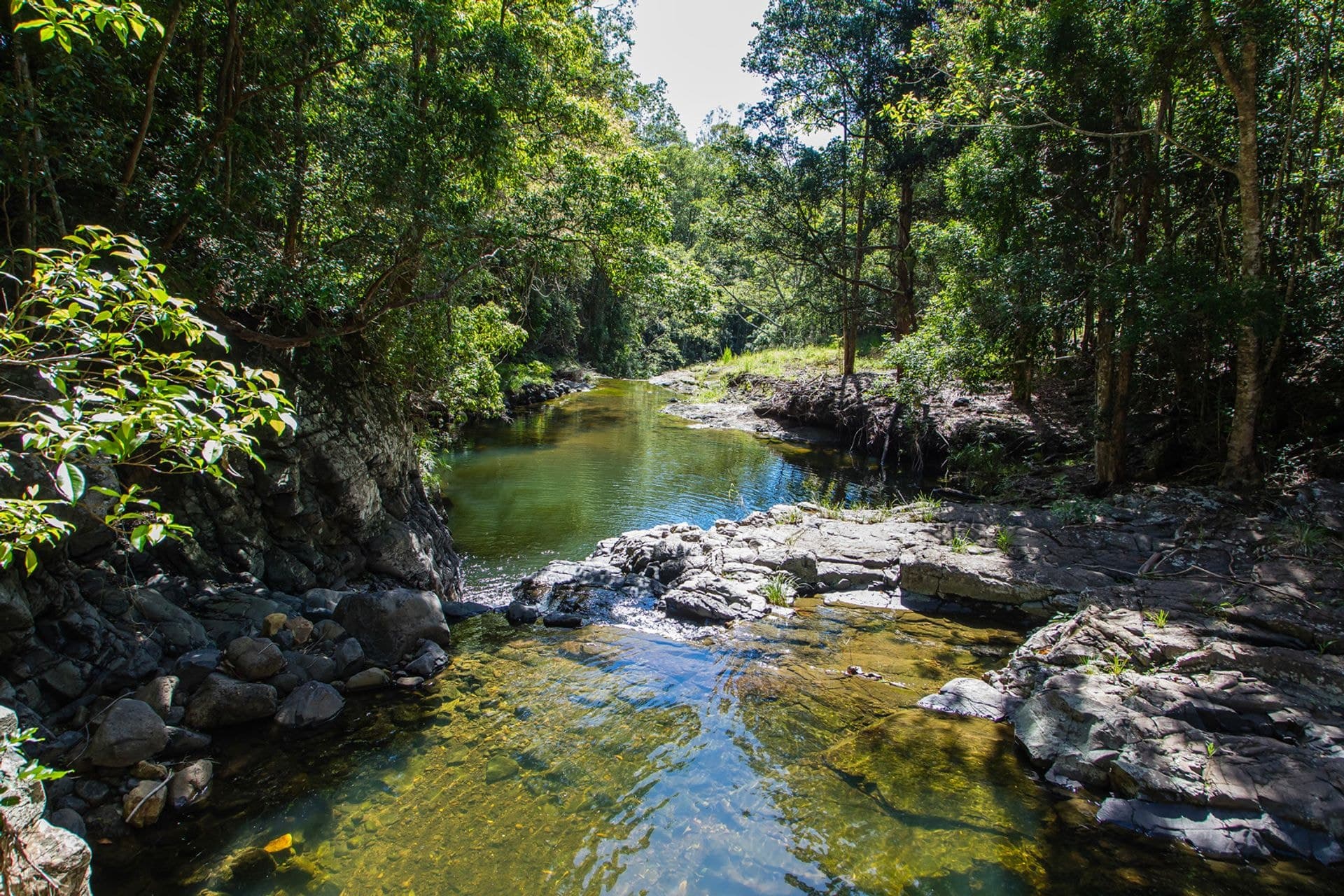 85 Ruwoldts Road, West Woombye, QLD, 4559, West Woombye - Thumbnail 3