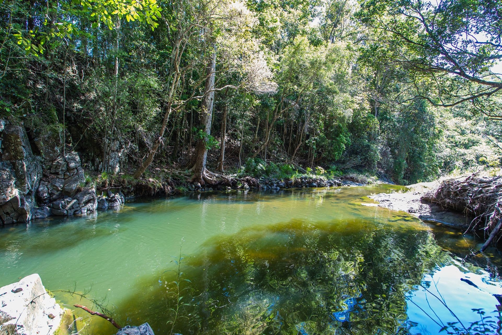 85 Ruwoldts Road, West Woombye, QLD, 4559, West Woombye - Thumbnail 4
