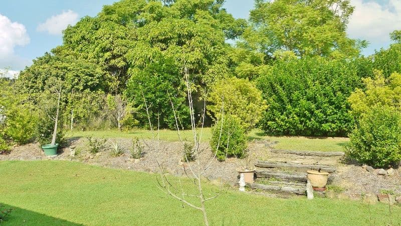 42 Hillside Road, Glass House Mountains QLD 4518, Glass House Mountains - Thumbnail 2