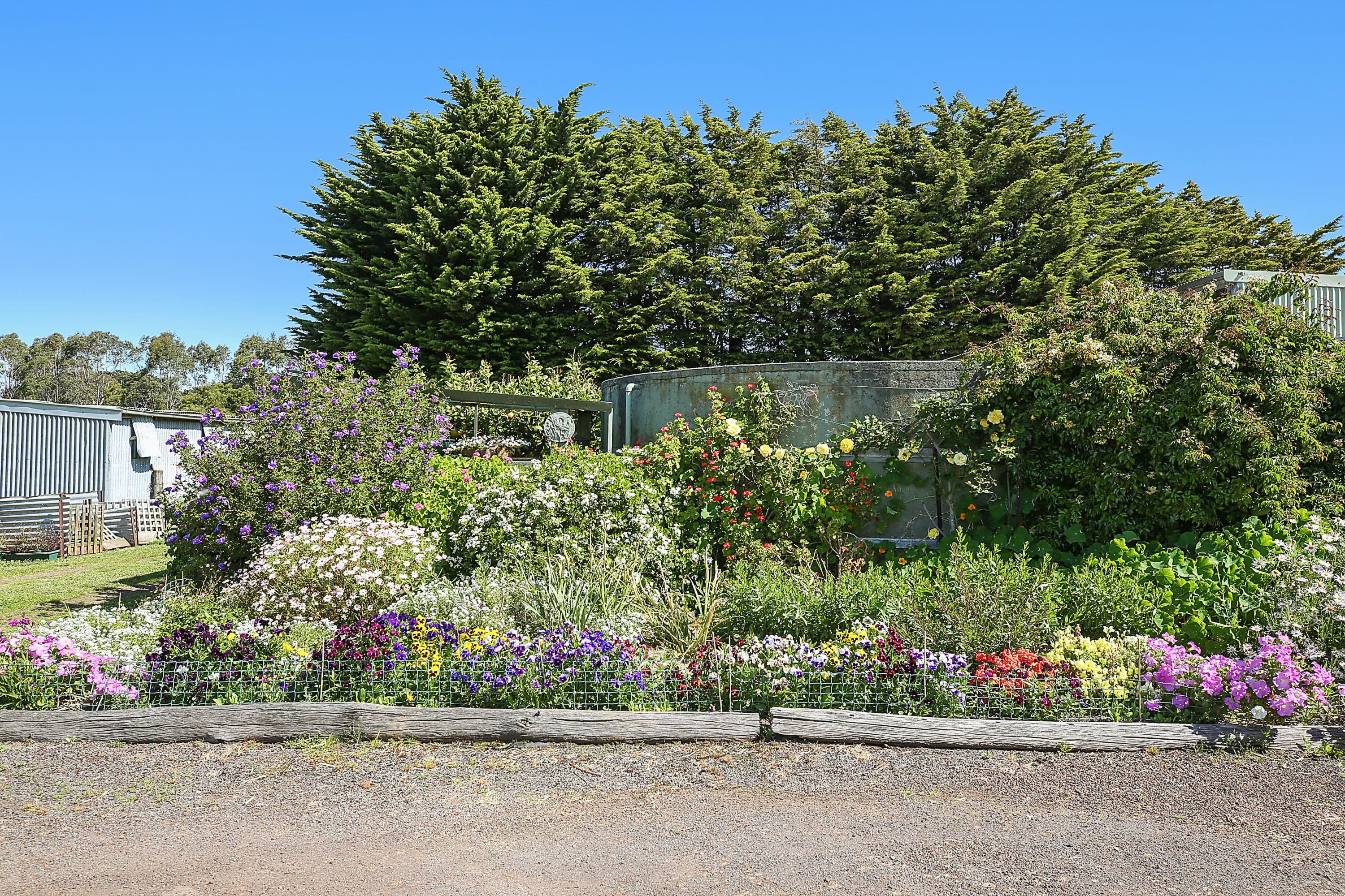 119 Cobden-South Ecklin Road, Cobden VIC 3266, Cobden - Thumbnail 6