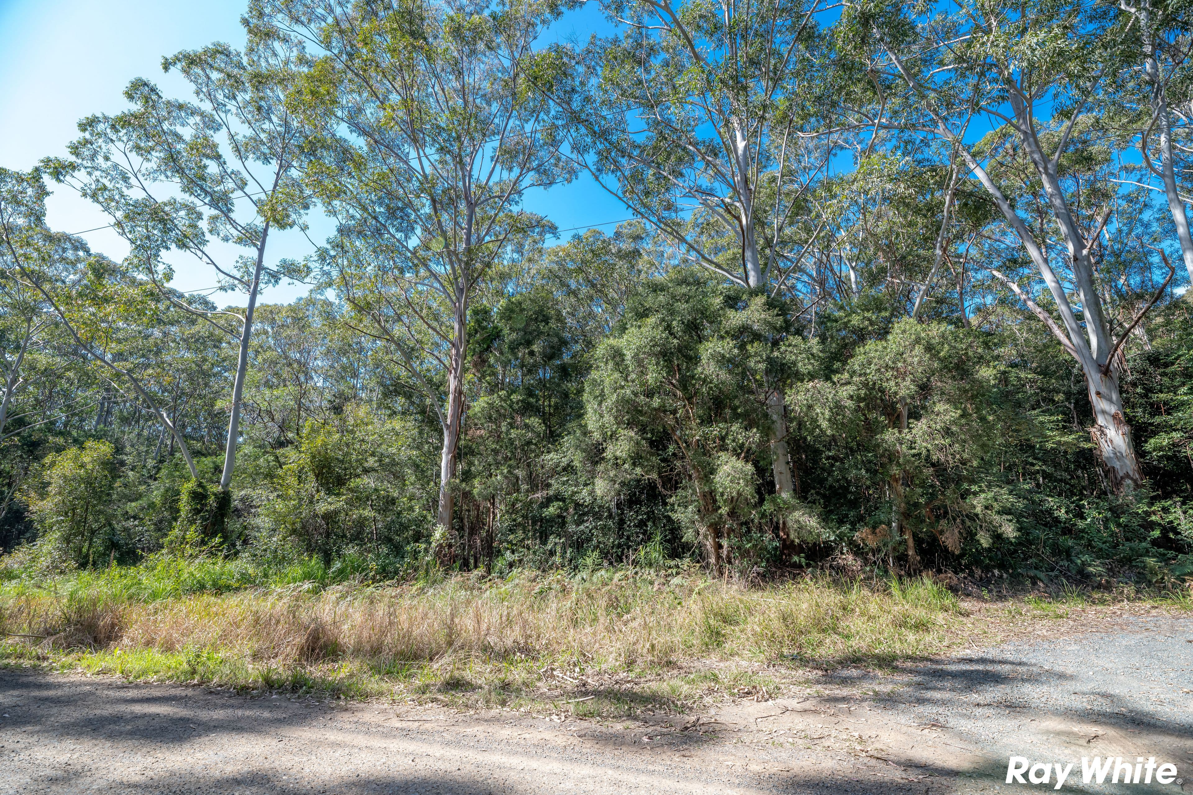 108 Tarbuck Park Road, Tarbuck Bay NSW 2428, Tarbuck Bay - Thumbnail 4