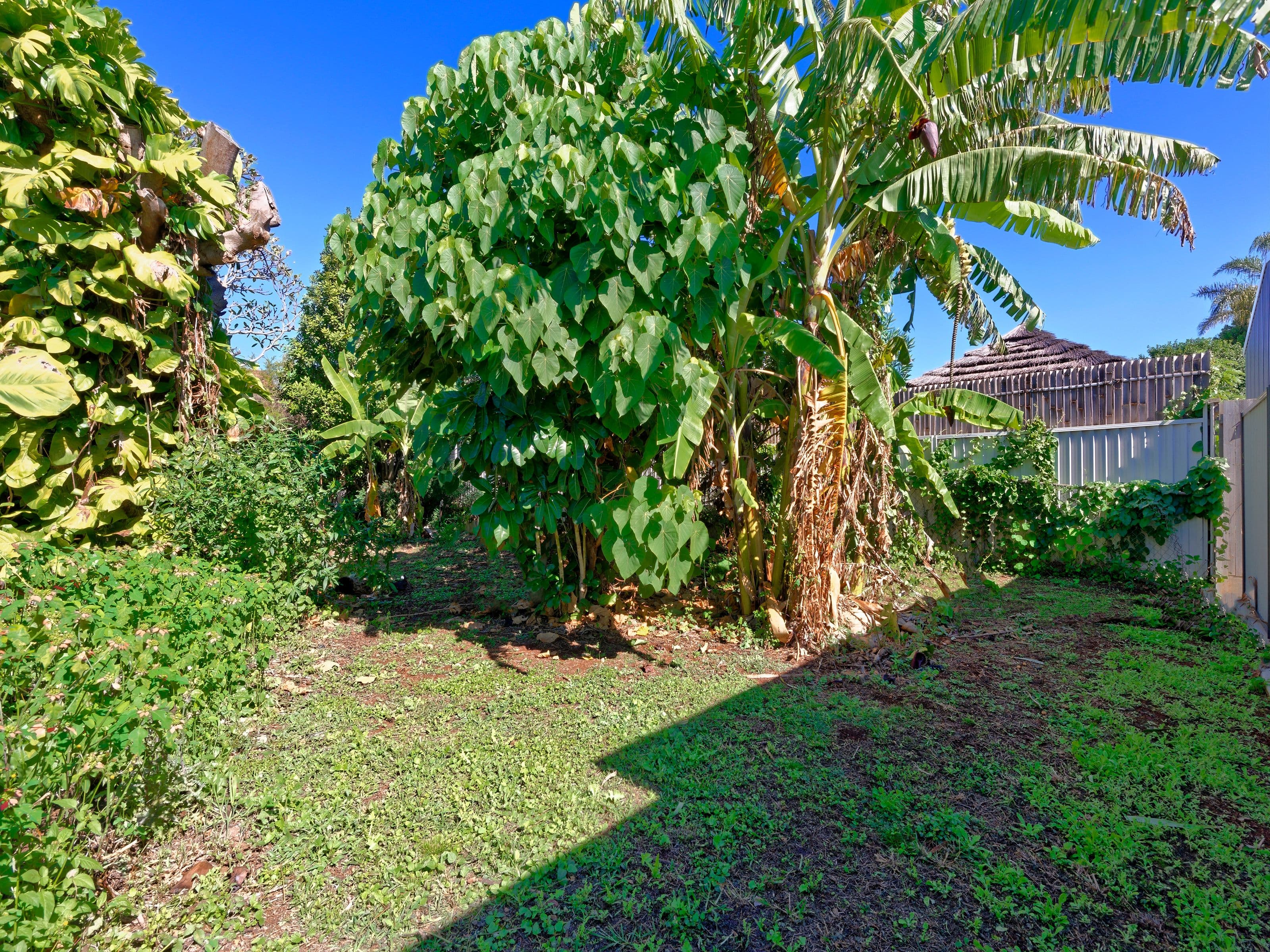 8 Dunns Terrace, Scarborough QLD 4020, Scarborough - Thumbnail 6
