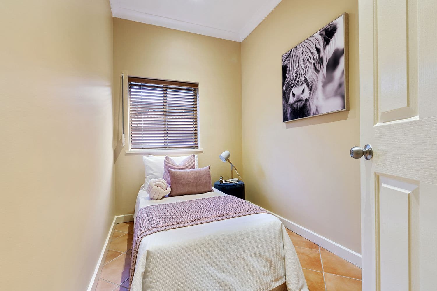 10 Olive Street, Seaton SA 5023, Seaton - Thumbnail 7