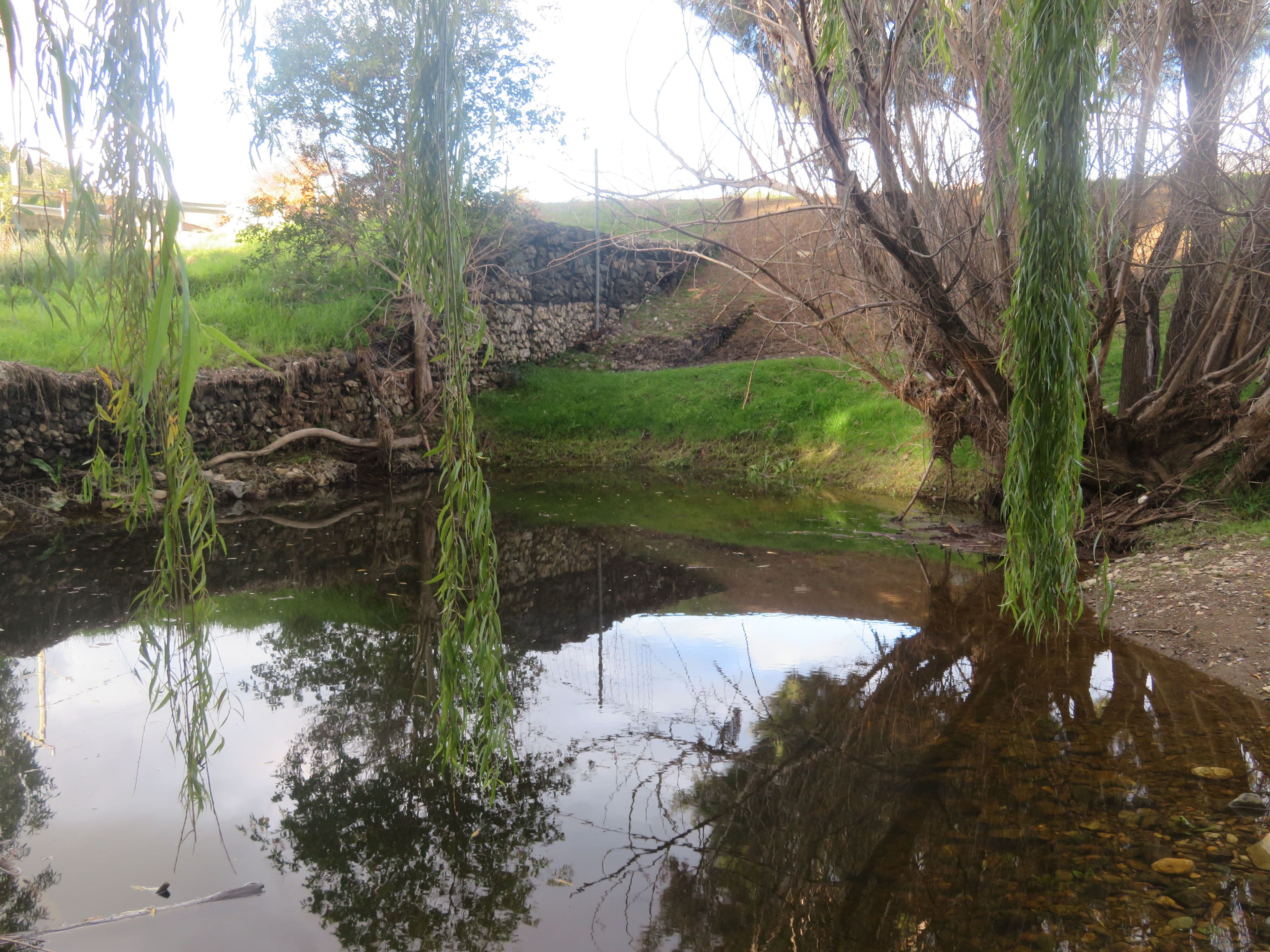 166 Punch Street, Gundagai NSW 2722, Gundagai - Image 1