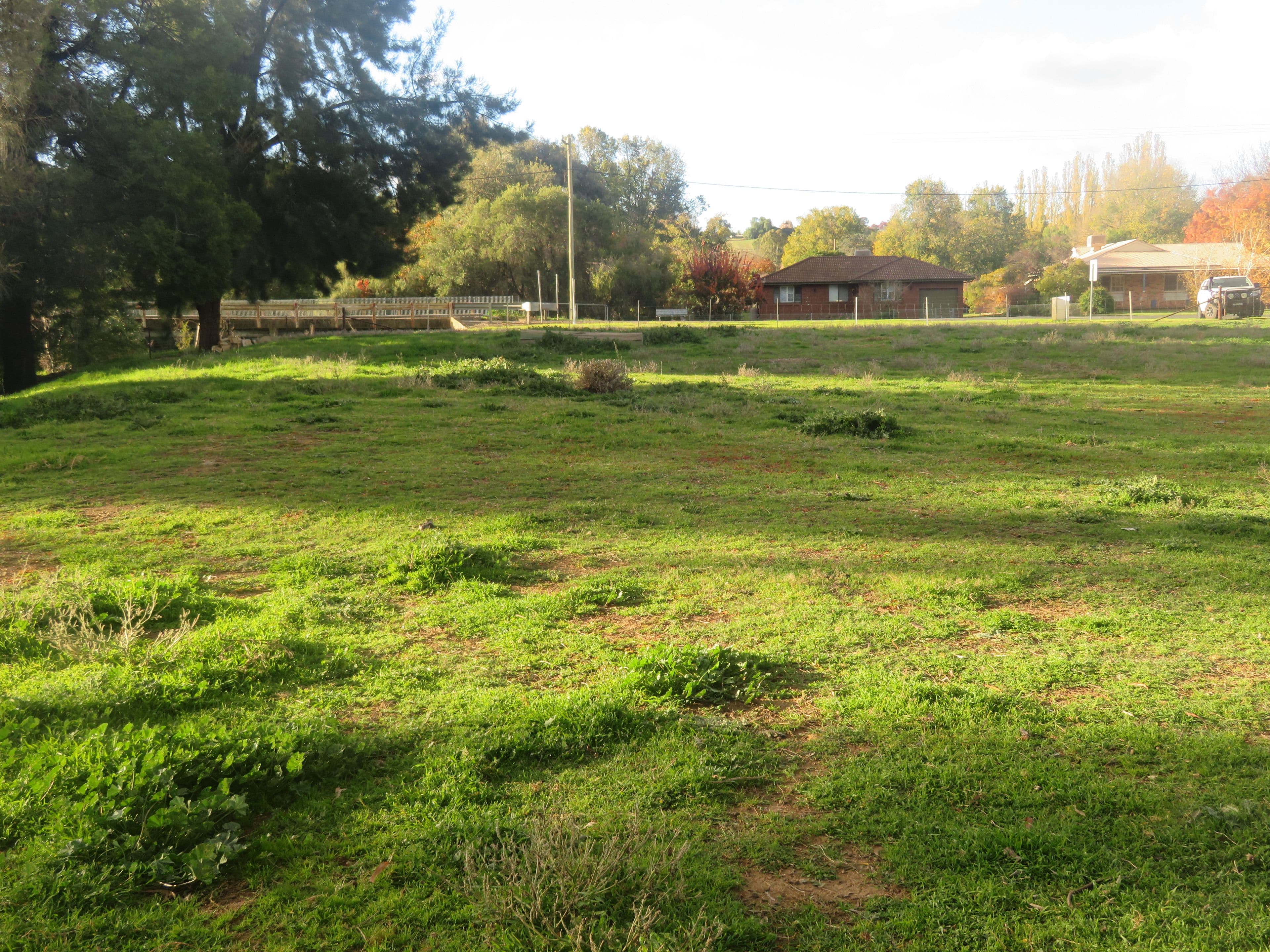 166 Punch Street, Gundagai NSW 2722, Gundagai - Thumbnail 4