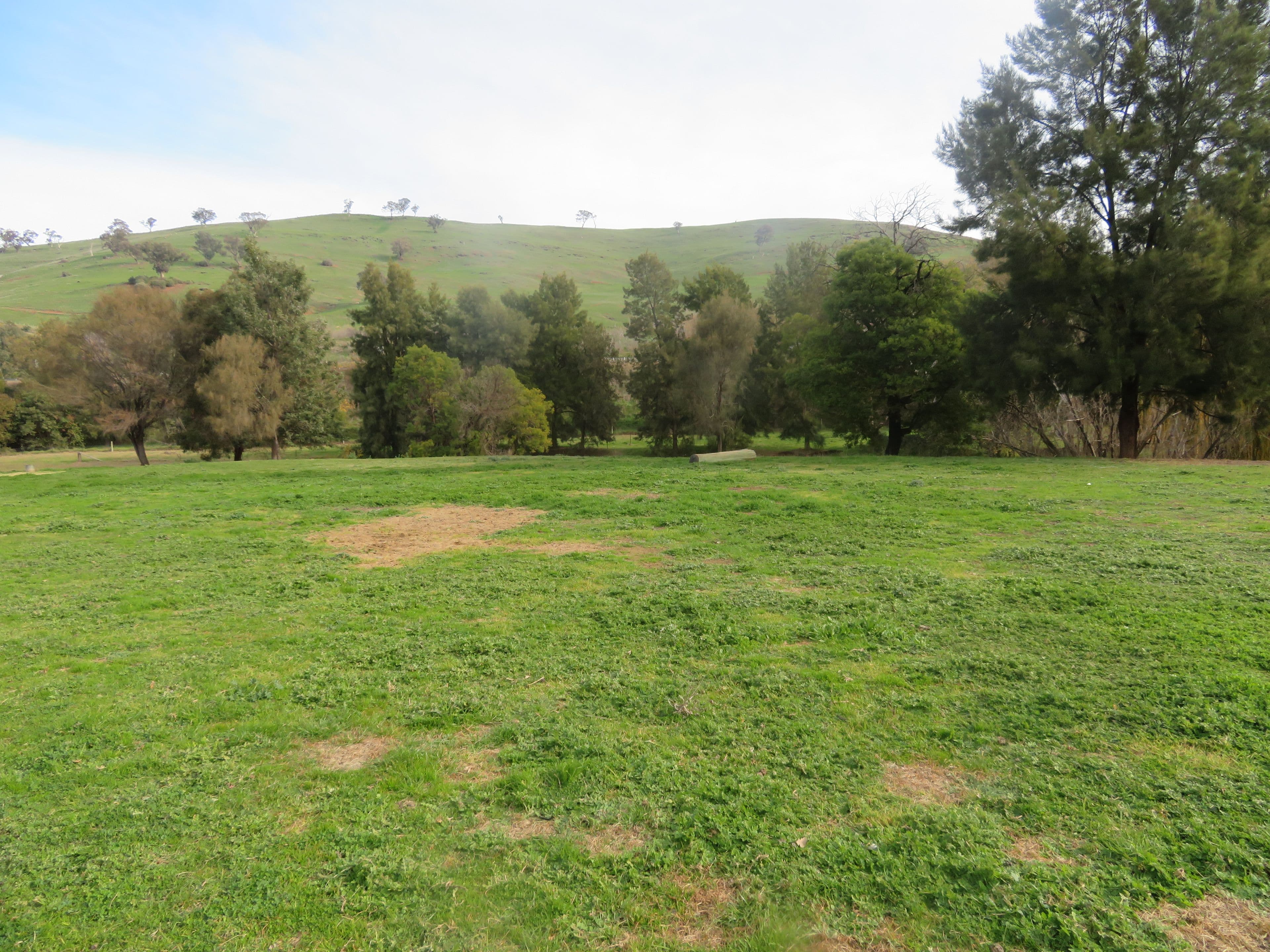 166 Punch Street, Gundagai NSW 2722, Gundagai - Thumbnail 5