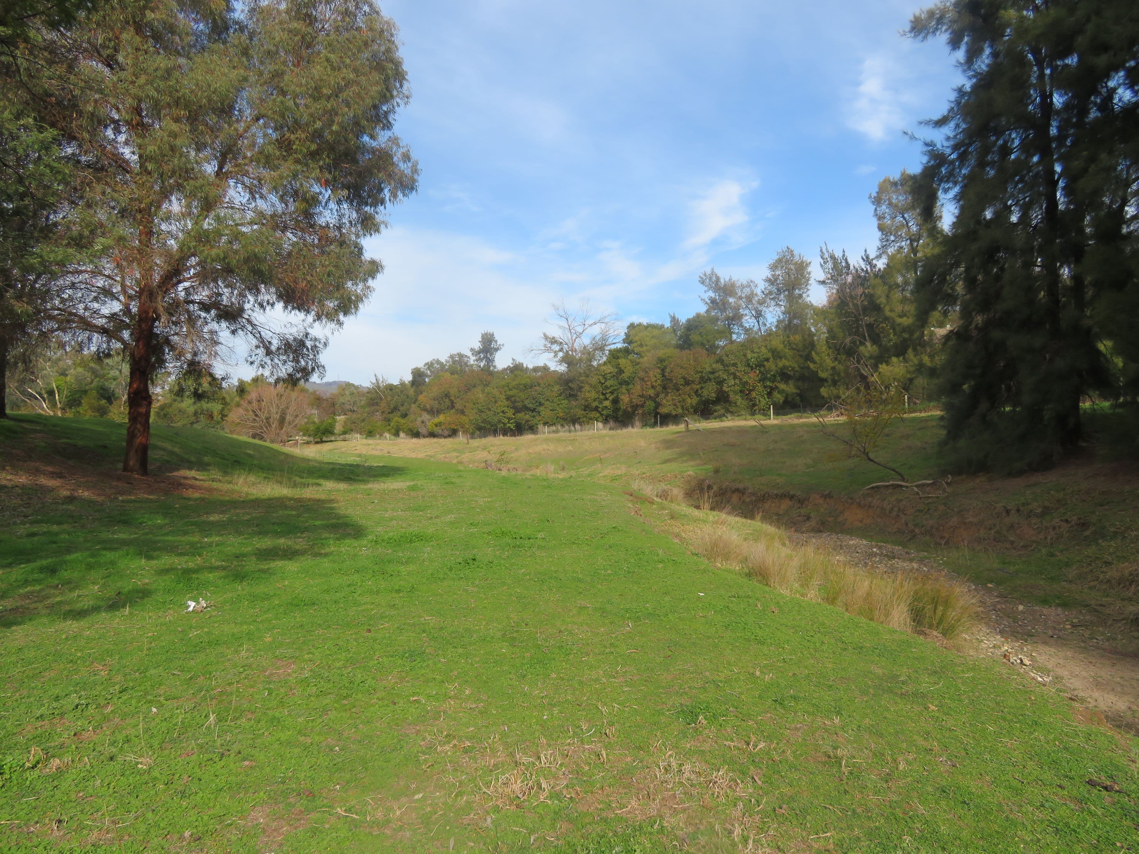 166 Punch Street, Gundagai NSW 2722, Gundagai - Thumbnail 6