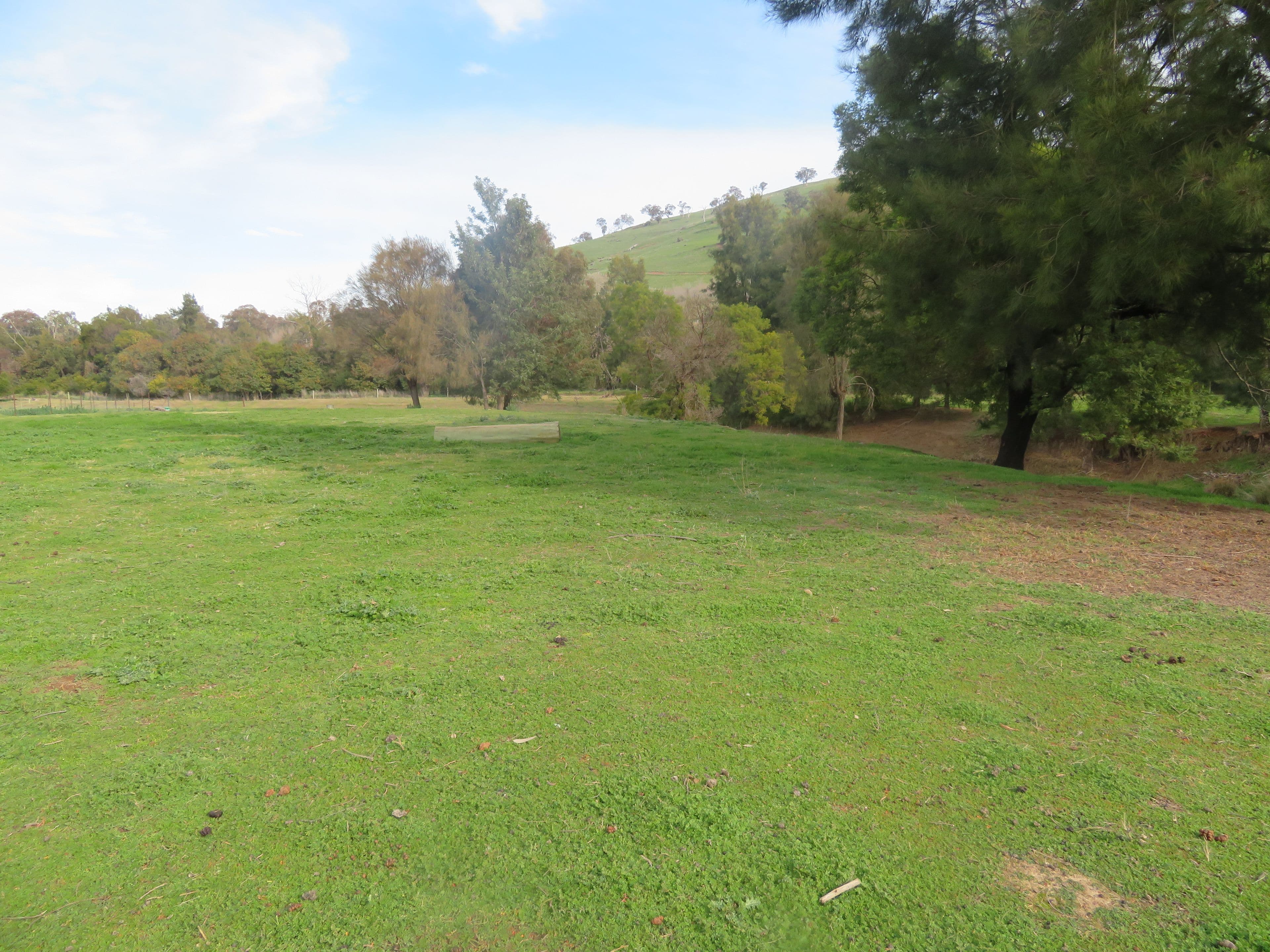 166 Punch Street, Gundagai NSW 2722, Gundagai - Thumbnail 8