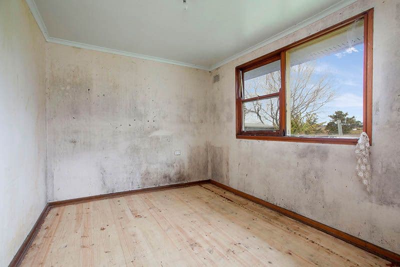 57 Darley Street, Shellharbour - Thumbnail 3