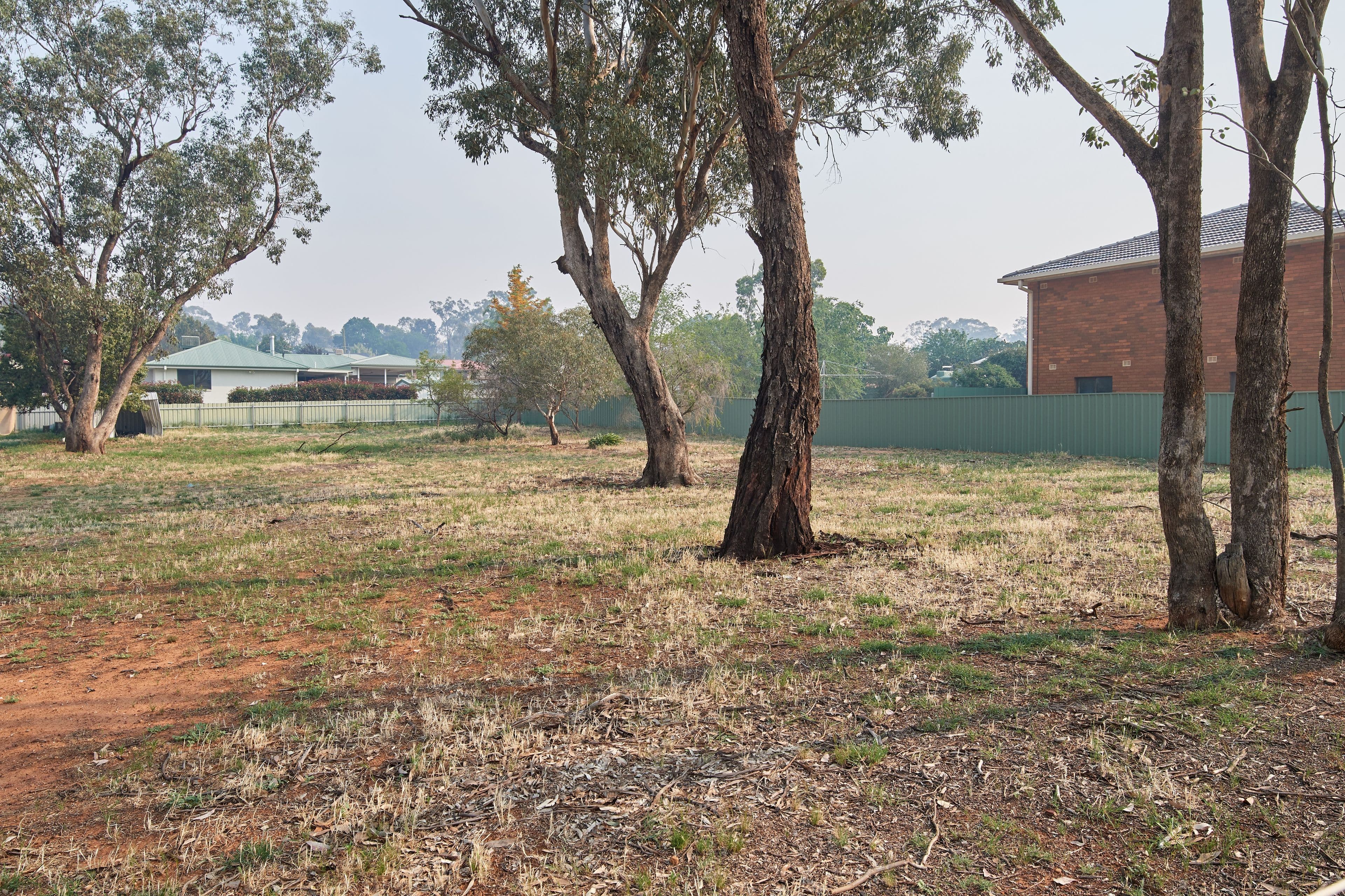Lot 3 Dunrobin Street, Coolamon NSW 2701, Coolamon - Thumbnail 5