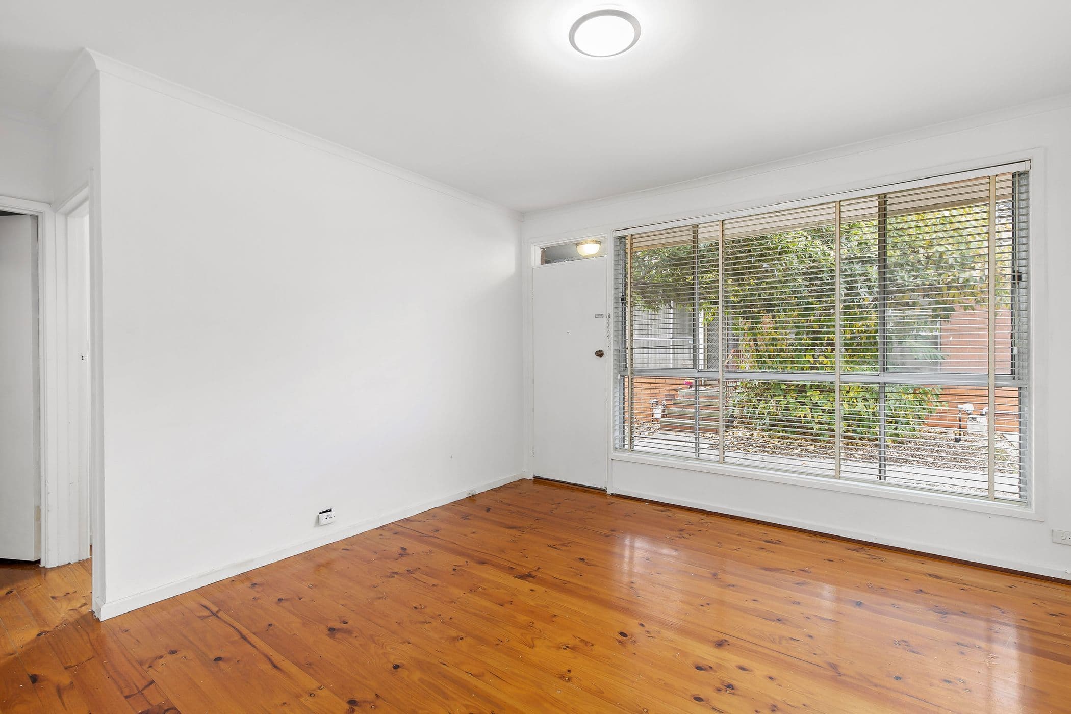 138 West Fyans Street, Newtown VIC 3220, Newtown - Thumbnail 3