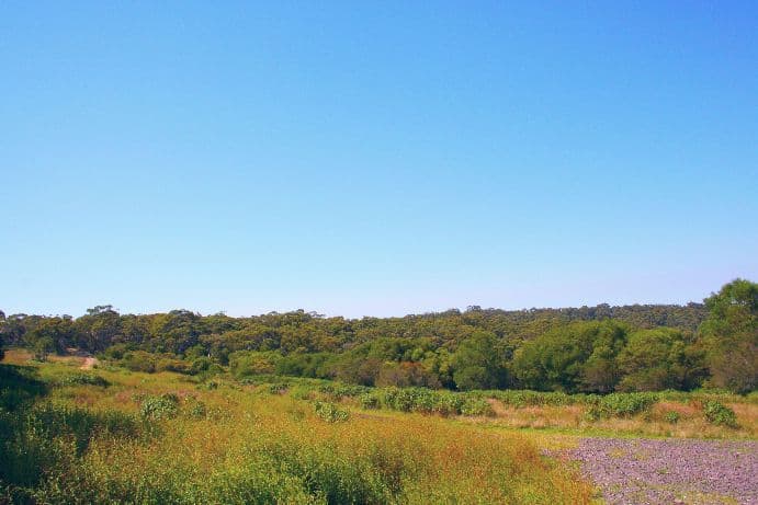 Lot 1 Lady Wakehurst Drive, HELENSBURGH NSW 2508, Helensburgh - Thumbnail 4
