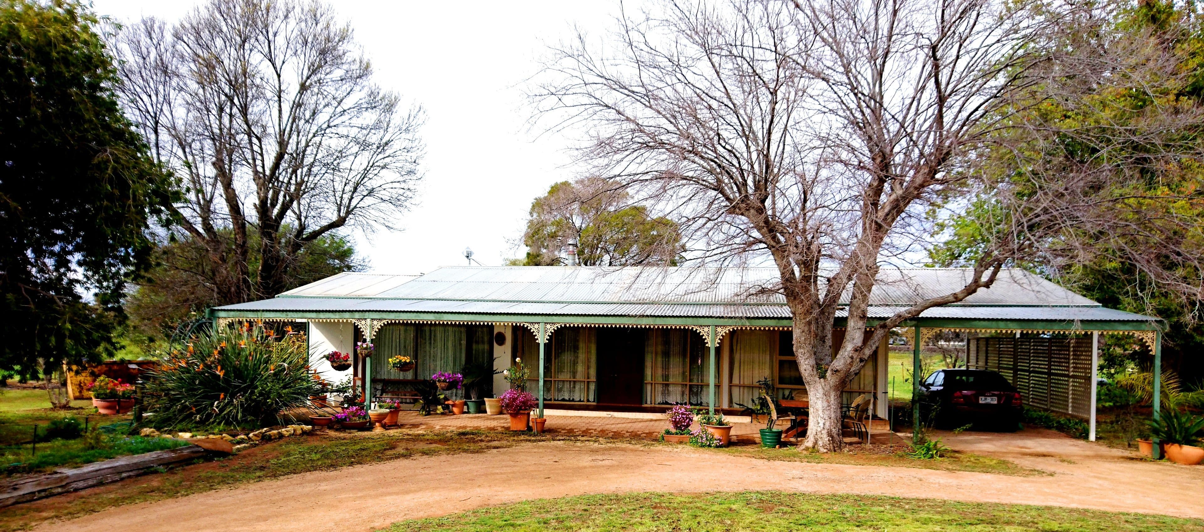 9 Maple Street, Barmera SA 5345, Barmera - Image 1