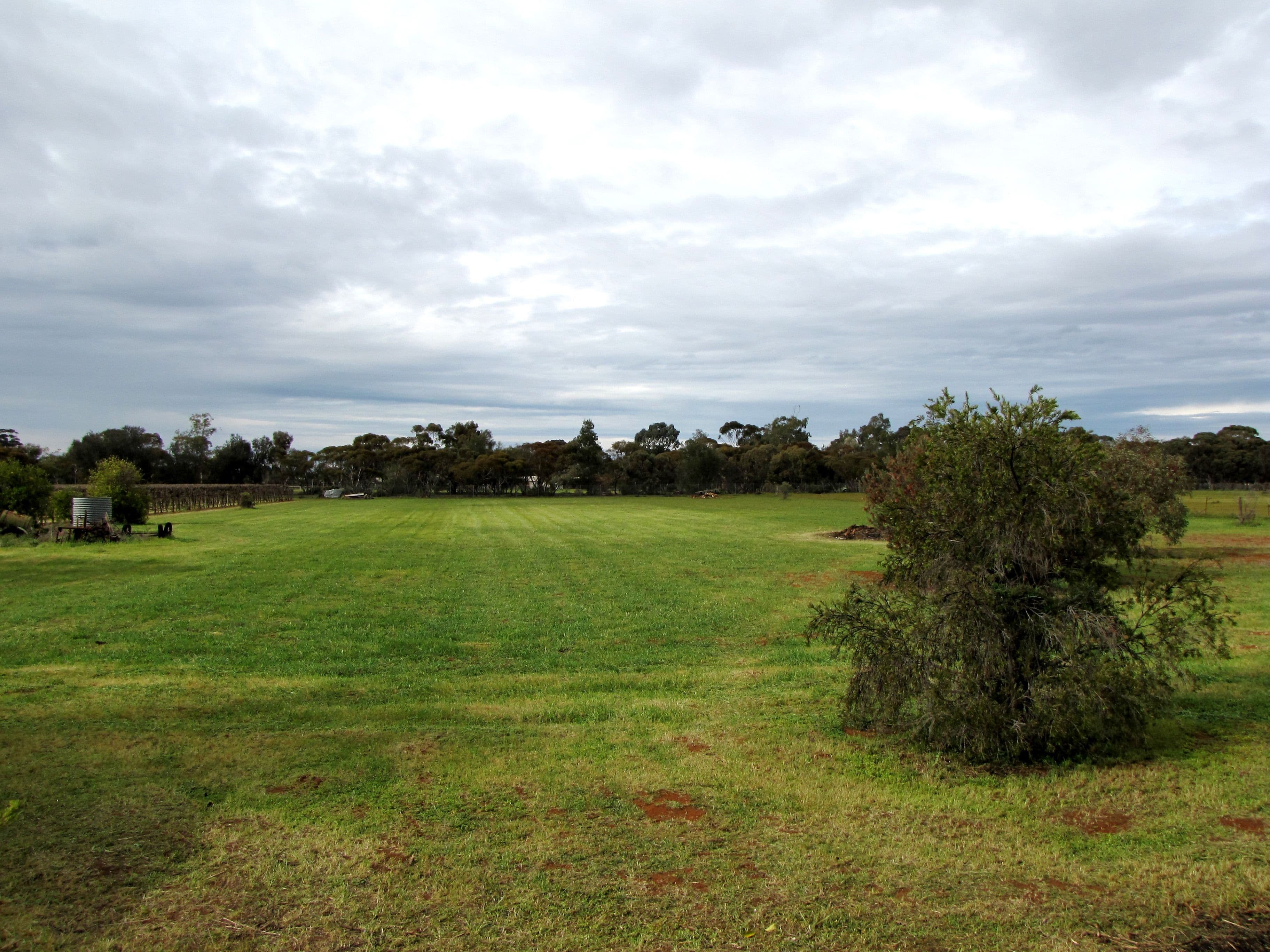 9 Maple Street, Barmera SA 5345, Barmera - Thumbnail 8