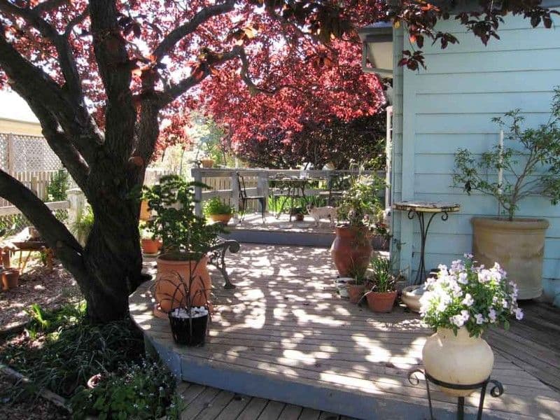49 Majara Street, BUNGENDORE NSW 2621, Bungendore - Image 1