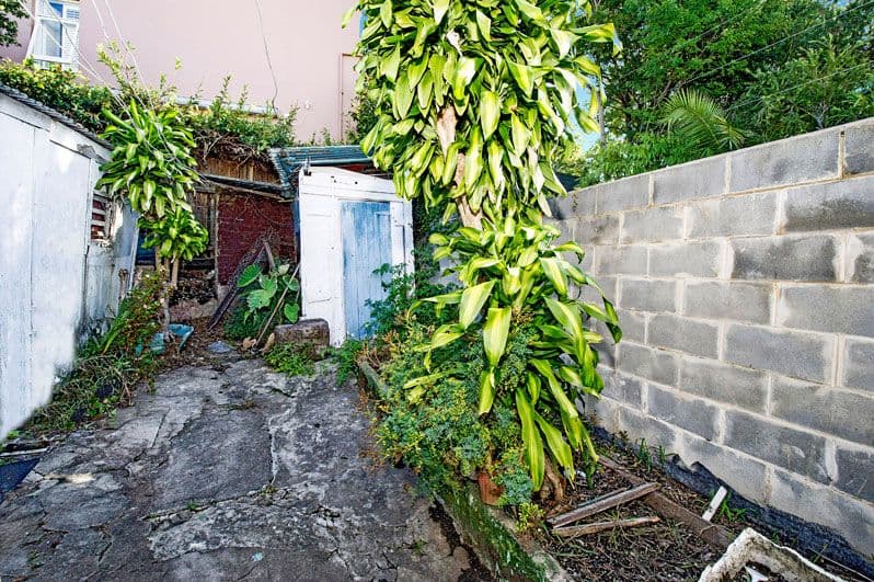 54 Underwood Street, PADDINGTON NSW 2021, Paddington - Thumbnail 2