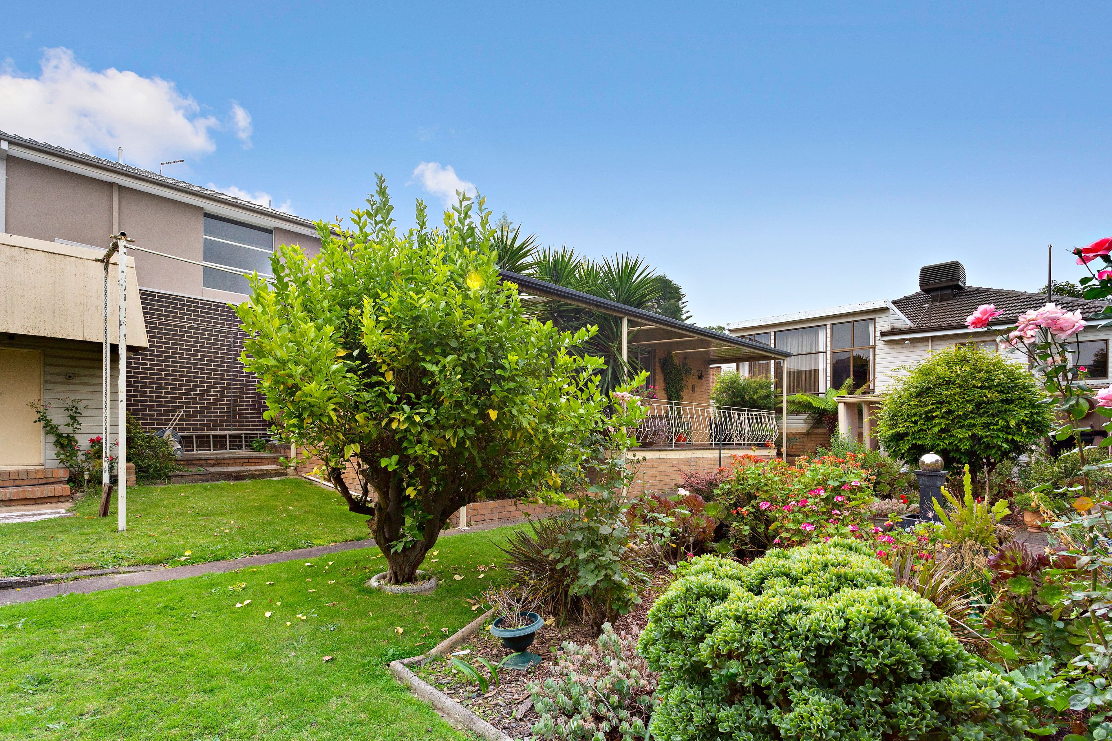 36 Dickson Street, Mount Waverley VIC 3149, Mount Waverley - Thumbnail 5