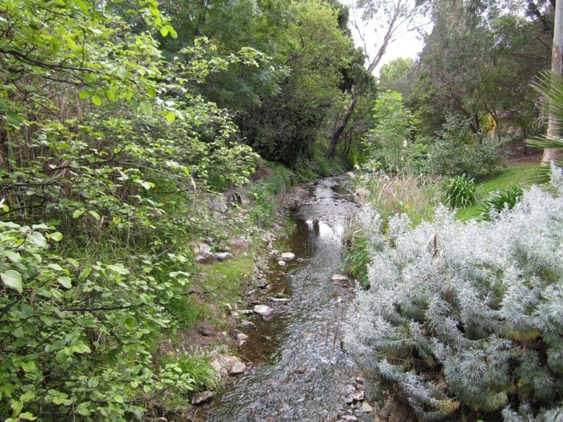 685 Magill Road, MAGILL SA 5072, Magill - Thumbnail 2