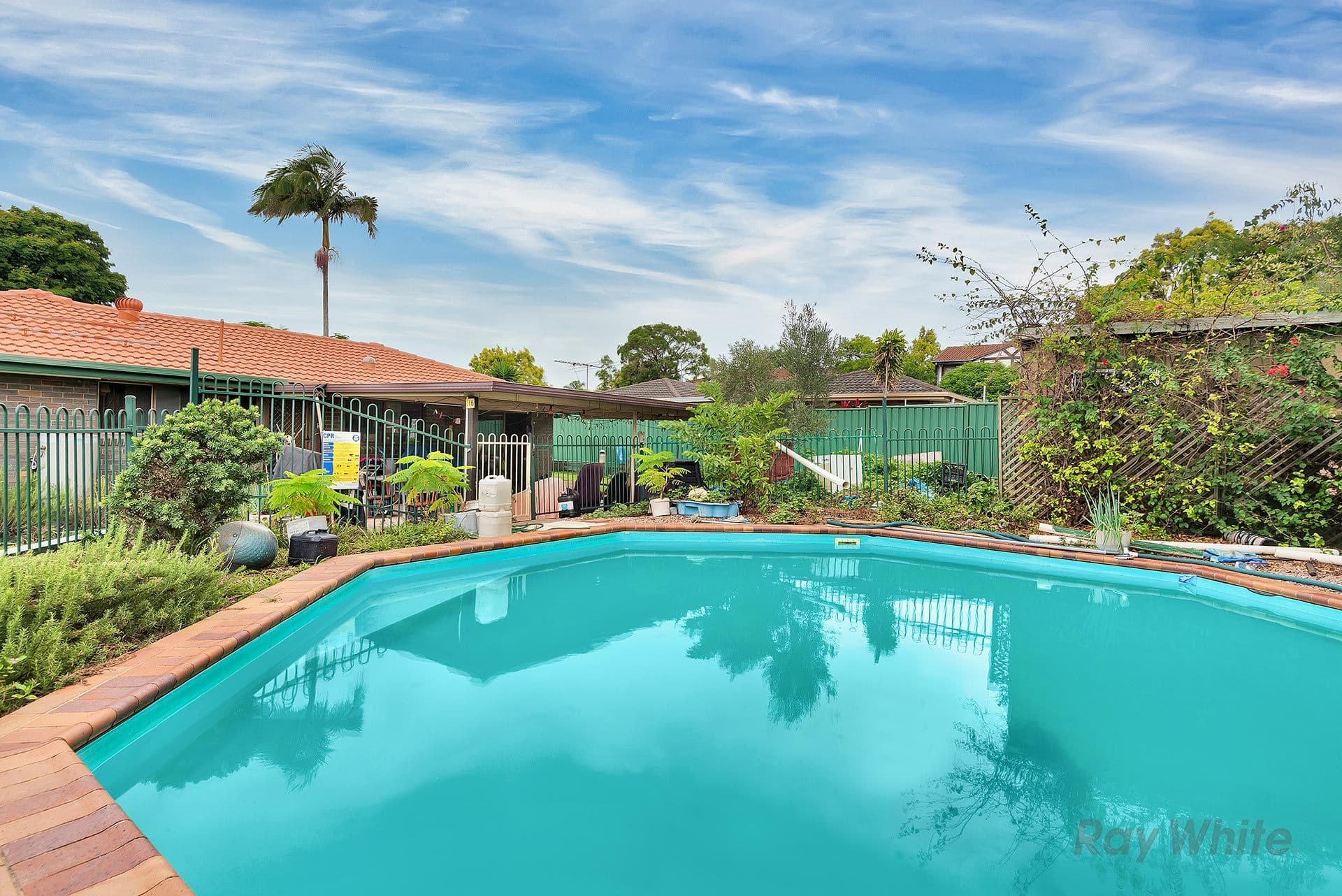 7 Bultarra Street, Runcorn QLD 4113, Runcorn - Thumbnail 4