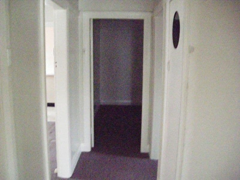 17 Onslow Street, CANTERBURY NSW 2193, Canterbury - Thumbnail 4