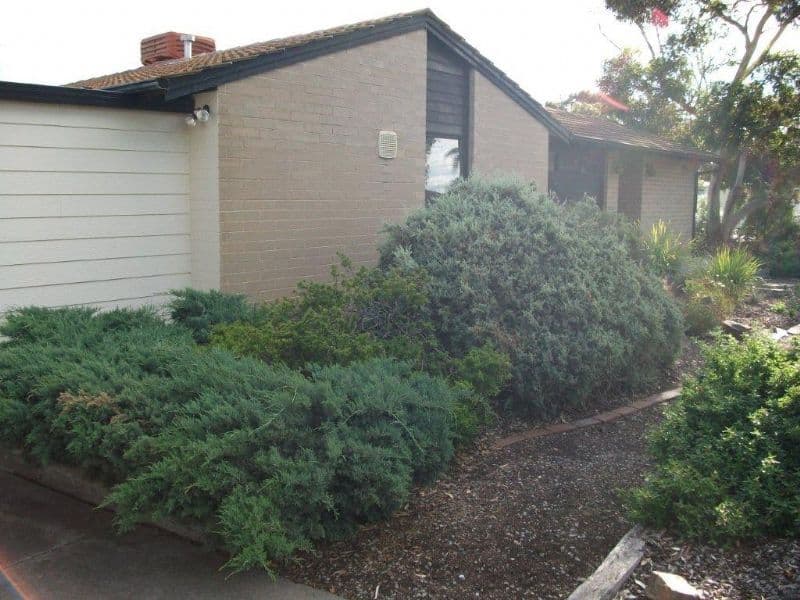 20 Protector Street, O'SULLIVAN BEACH SA 5166, O'Sullivan Beach - Thumbnail 5