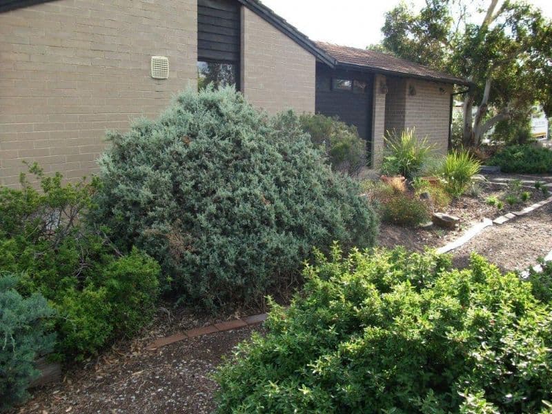 20 Protector Street, O'SULLIVAN BEACH SA 5166, O'Sullivan Beach - Thumbnail 8