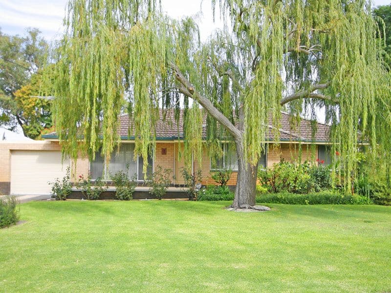 1 Ireland Way, BASSENDEAN WA 6054, Bassendean - Image 1