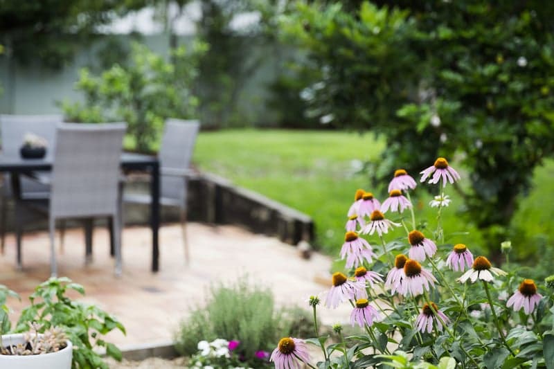 44 Tuckett Street, Kenmore Hills - Thumbnail 2