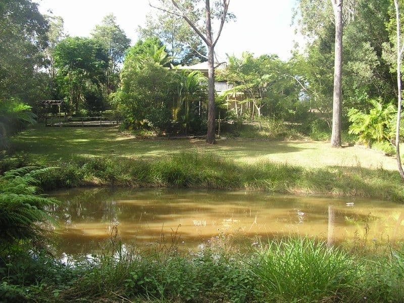 14 Taroona Court, PEACHESTER QLD 4519, Peachester - Thumbnail 3