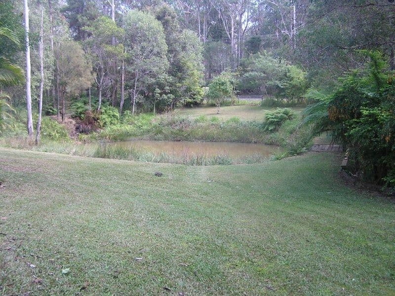 14 Taroona Court, PEACHESTER QLD 4519, Peachester - Thumbnail 6