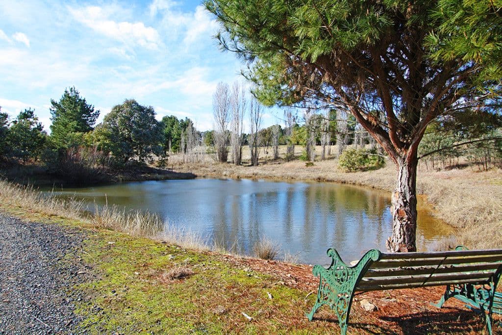 3837 Kings Highway, Bungendore NSW 2621, Bungendore - Thumbnail 2