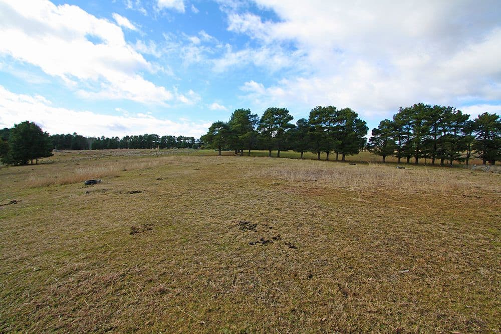 3837 Kings Highway, Bungendore NSW 2621, Bungendore - Thumbnail 6