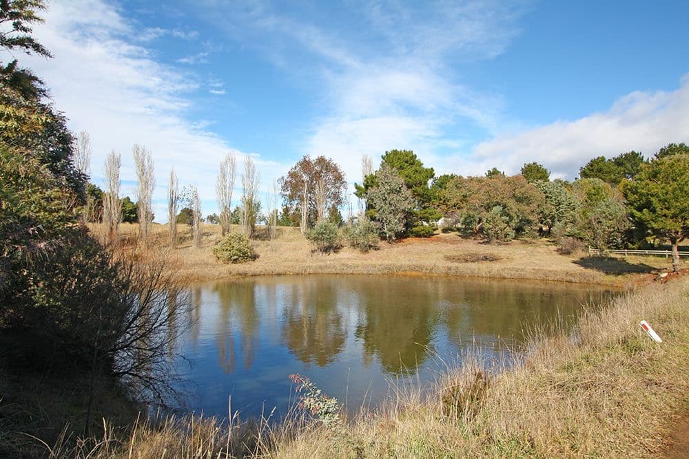 3837 Kings Highway, Bungendore NSW 2621, Bungendore - Thumbnail 8