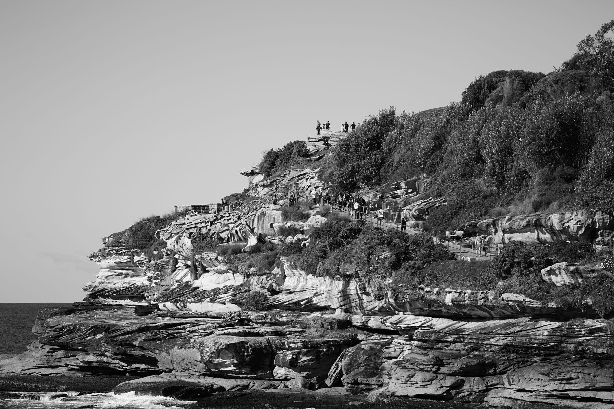 308 Oxford Street,, Bondi Junction NSW 2022, Bondi Junction - Thumbnail 8