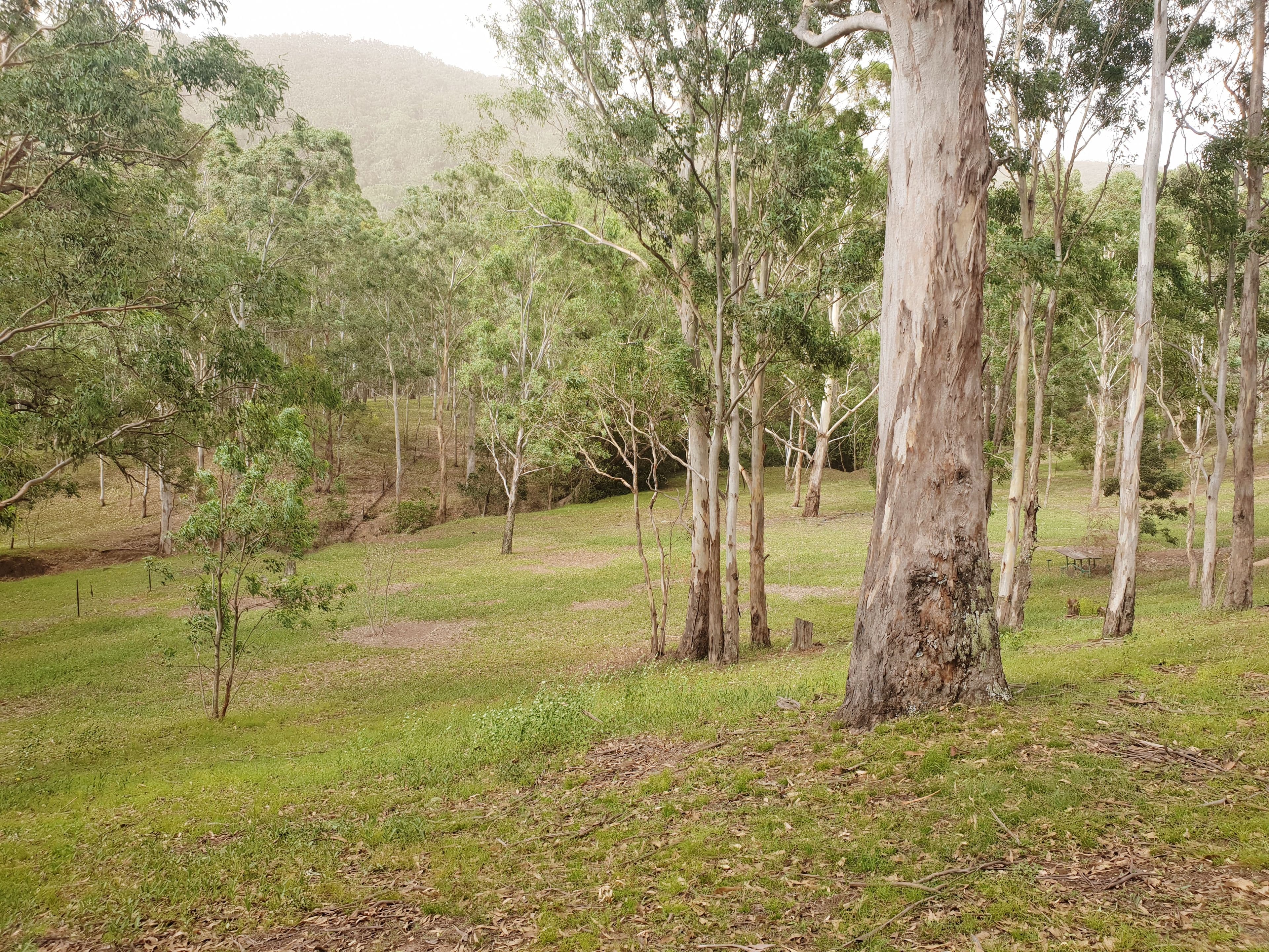 21 Naughtons Close, Araluen NSW 2622, Araluen - Thumbnail 5