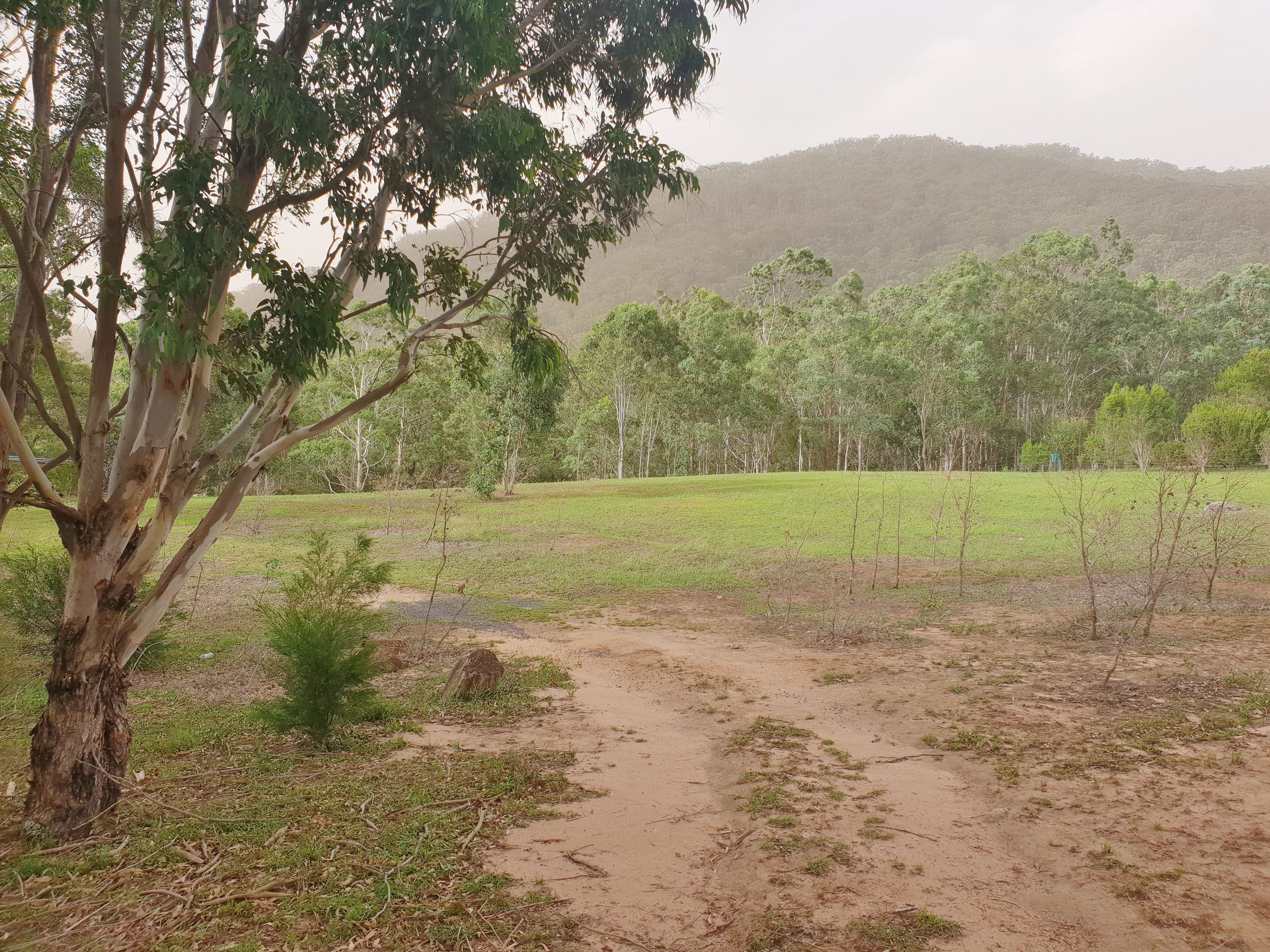 21 Naughtons Close, Araluen NSW 2622, Araluen - Thumbnail 8