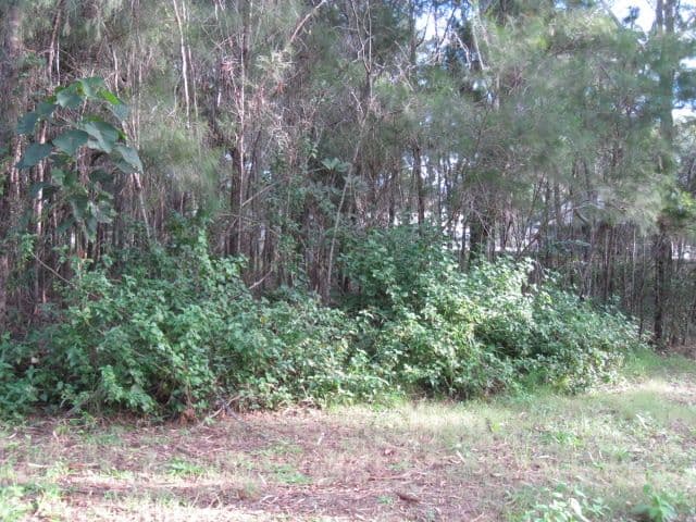 1 Koro, RUSSELL ISLAND QLD 4184, Russell Island - Thumbnail 2