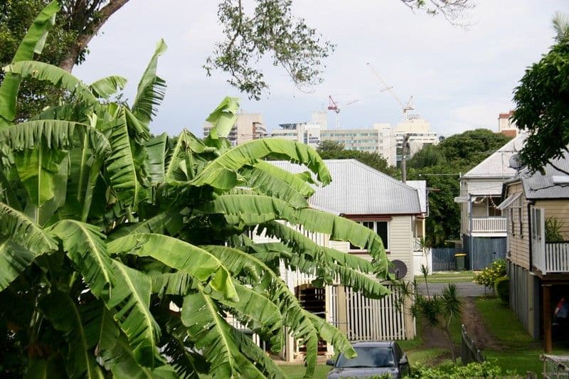 14 Walker Street, WINDSOR QLD 4030, Windsor - Thumbnail 6