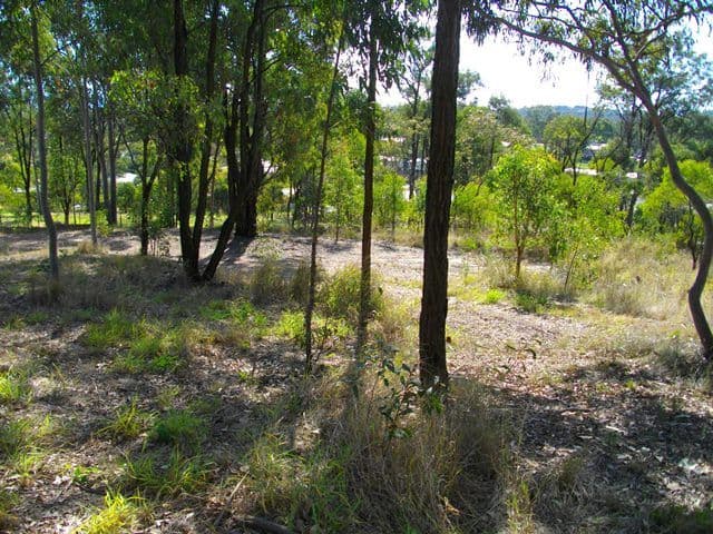 15 Trevis Court, BLACKSTONE QLD 4304, Blackstone - Thumbnail 4
