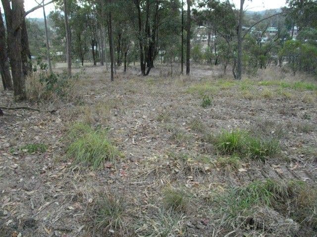 15 Trevis Court, BLACKSTONE QLD 4304, Blackstone - Thumbnail 7