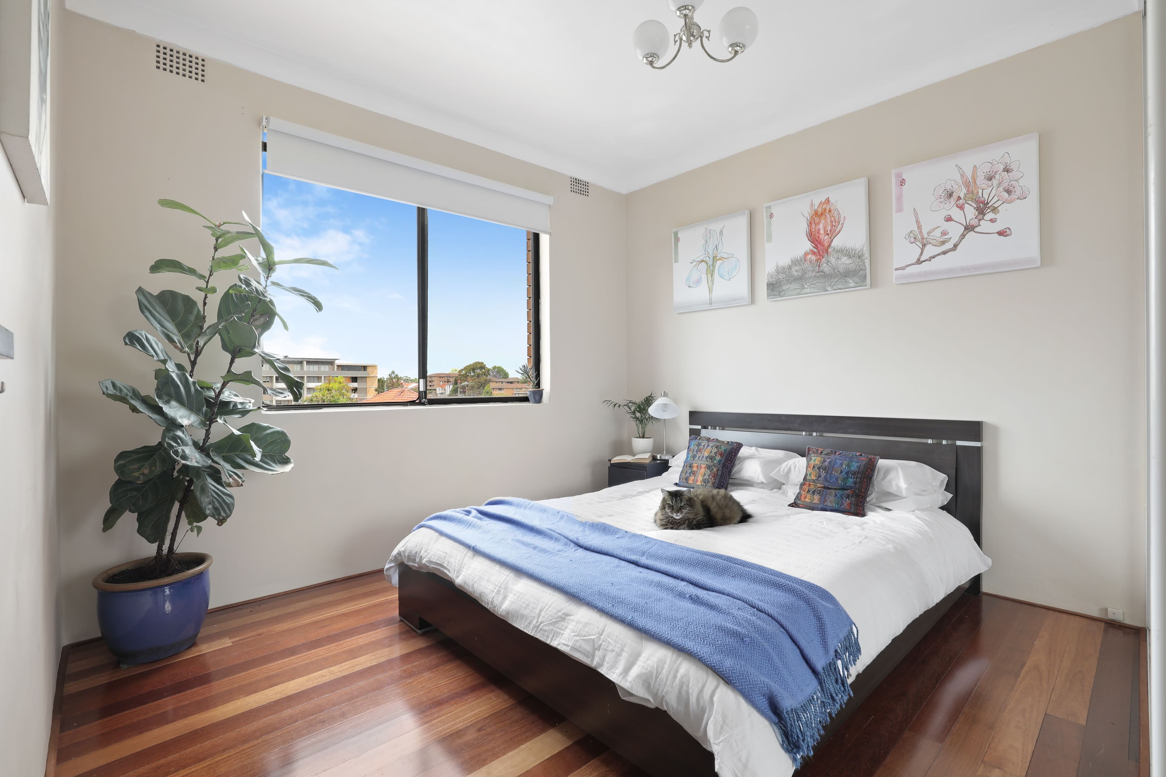 1 Ann Street, Marrickville NSW 2204, Marrickville - Thumbnail 4