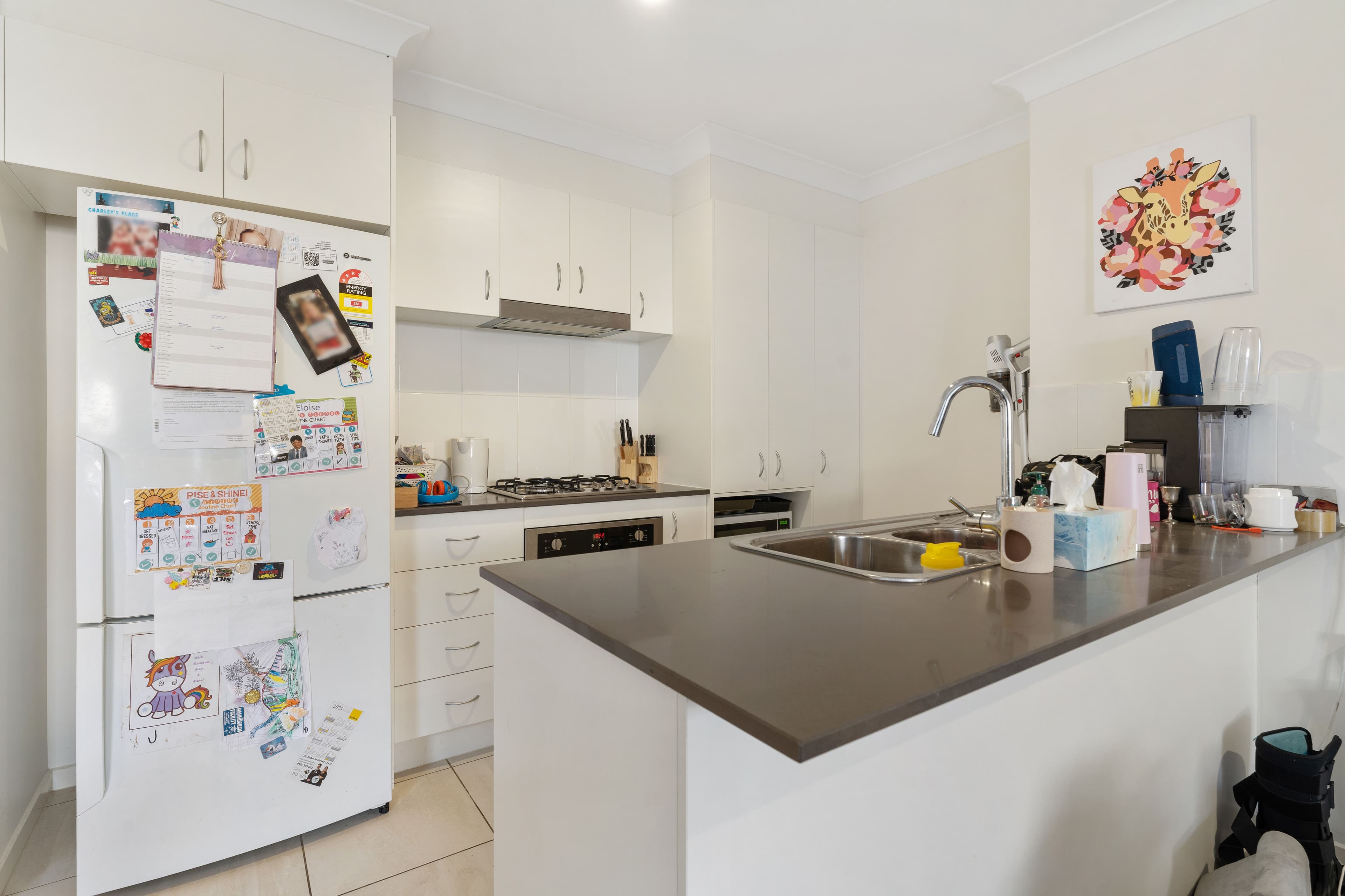 41A Pinelands Street, Loganlea QLD 4131, Loganlea - Thumbnail 7