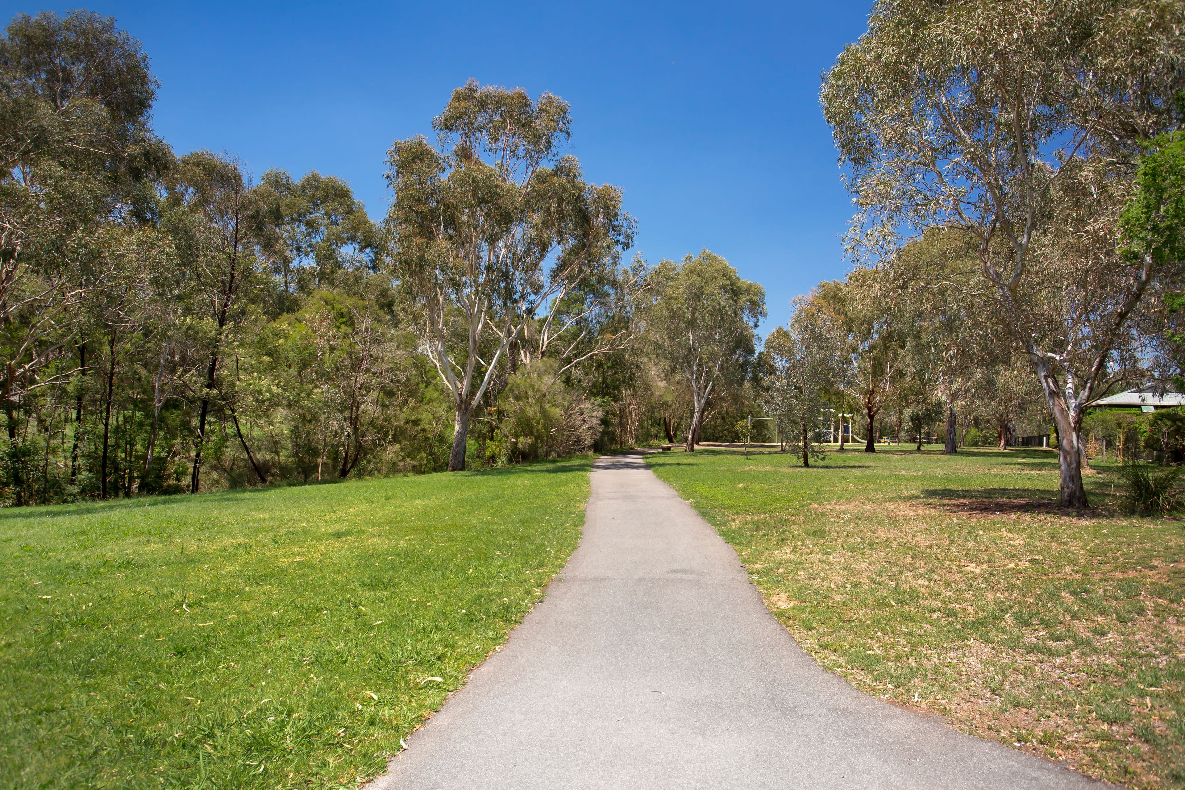 8 Musgrave Walk, Yallambie VIC 3085, Yallambie - Thumbnail 7