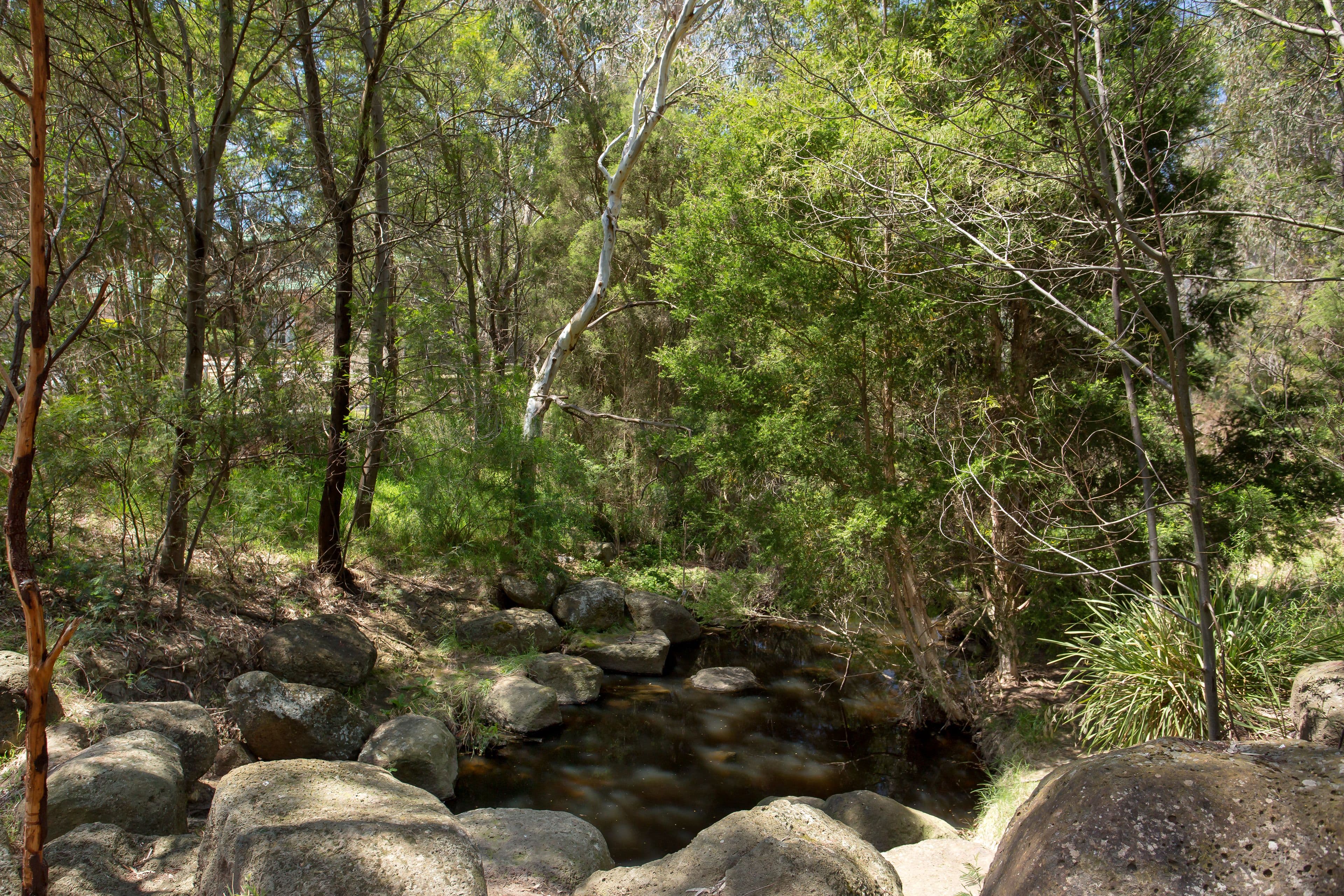 8 Musgrave Walk, Yallambie VIC 3085, Yallambie - Thumbnail 8
