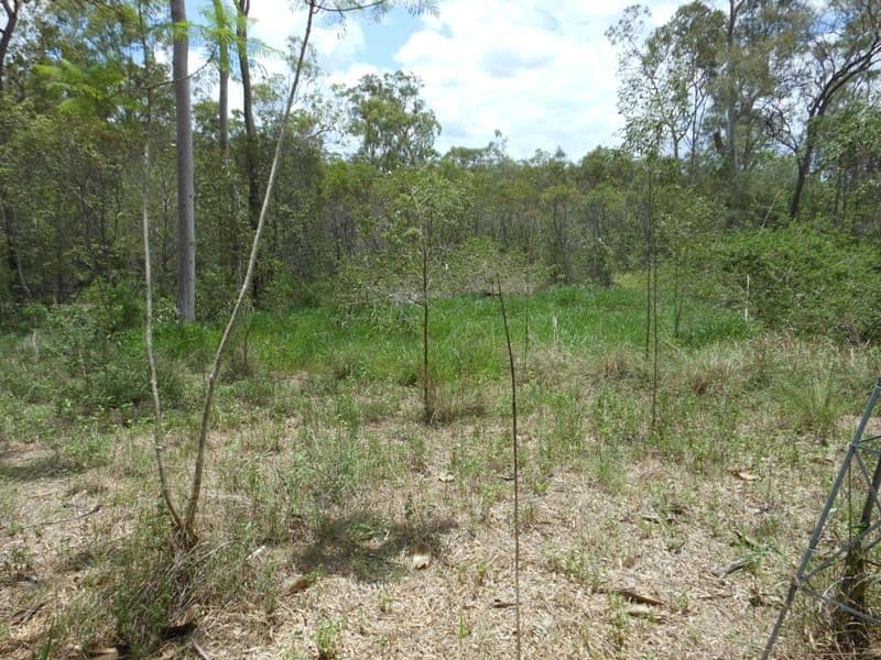 L1 River Pines Drive, DELAN QLD 4671, Delan - Thumbnail 5